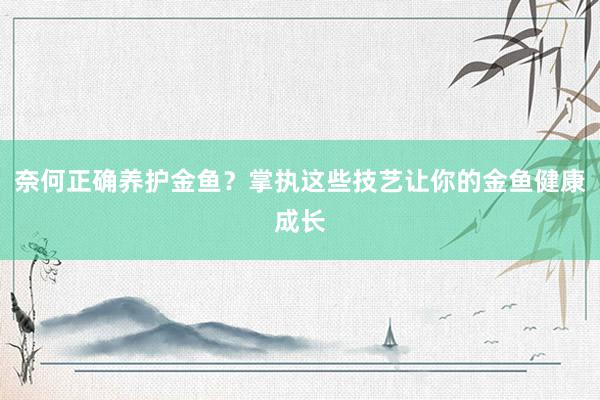 奈何正确养护金鱼？掌执这些技艺让你的金鱼健康成长